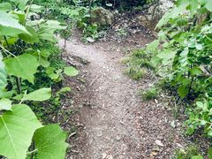 -青龙山国家森林公园