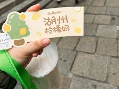 -猫的魔法密林(衣裳街店)