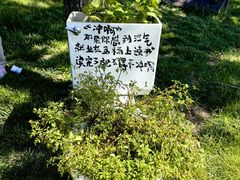 -日光山谷营地乐园