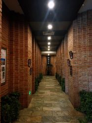 -醉库庄园·宴会厅·草坪婚礼场地