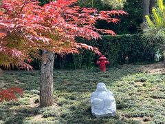 -西安大兴善寺