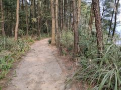-重庆雨台山风景区