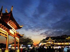 -志龙皇冠吃货椰子铺