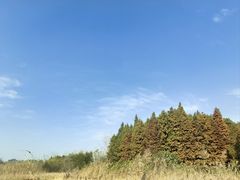 -溱湖国家湿地公园