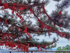 -云蒙山风景区