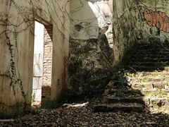 -上海佘山国家森林公园天马山园