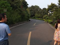 -张坝桂圆林公园