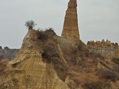 -元谋浪巴铺土林景区