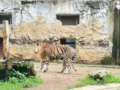 -黔灵山公园