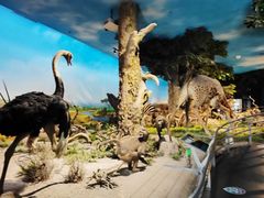 -国家自然博物馆