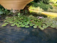 -云溪植物园