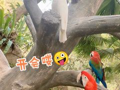-呀诺达热带雨林