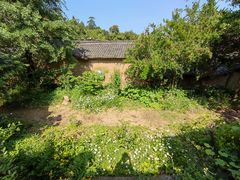 -杨家堂村
