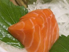 -黑松白鹿(崇文门新活馆店)