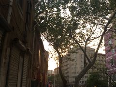 -九龙餐厅(大沽路店)