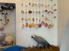 -海洋20M海景咖啡馆