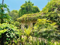 -中国科学院西双版纳热带植物园