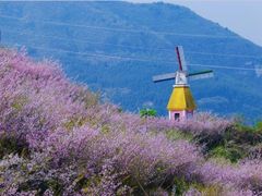 -梧桐山风景名胜区