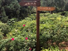 -西苑公园