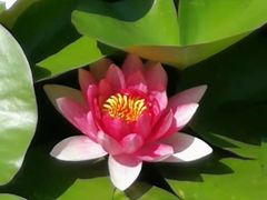 -河北村民俗体验园