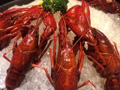 -听松楼-中餐厅.家宴(红梅公园店)