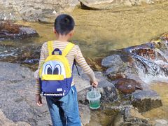 -广州白江湖森林公园