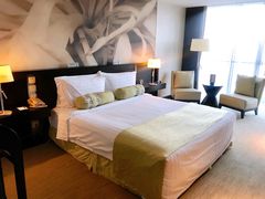 -国家会议中心大酒店