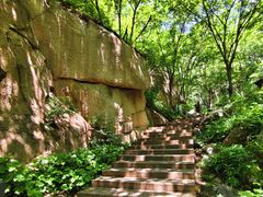-大岭沟猕猴桃谷风景区