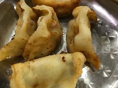 向群锅饺-向群锅饺(登高路店)