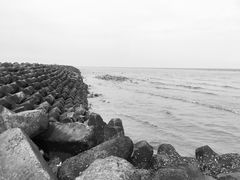 -南汇嘴观海公园