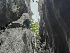 -千岛湖石林