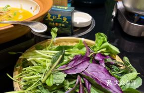 Immortal Vegetable