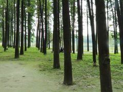 -汉水公园