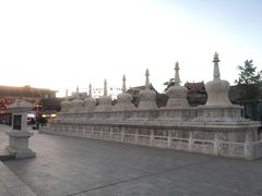 -大召释迦八塔