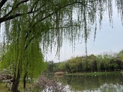 -自然谷恐龙园