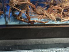 -阿伟海鲜楼·福建菜(延寿店)