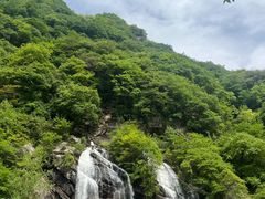 -陕西省红河谷森林公园