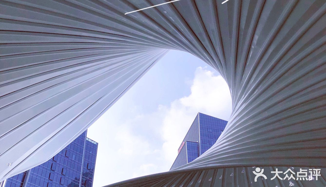 重庆小众秘摄｜0元打卡光环广场巨型钢铁鹦鹉螺