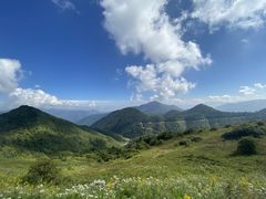 -南山植物园