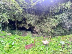 -海口火山口国家地质公园