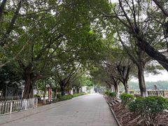 -黄埔古港