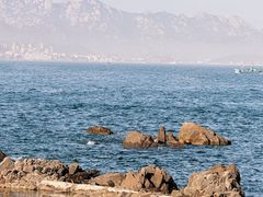 -小麦岛公园