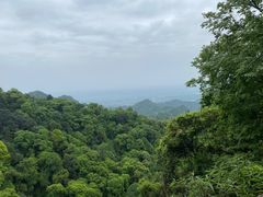 -青城山