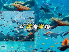 -长鹿旅游休博园