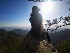 -王顺山国家森林公园
