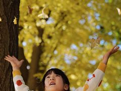 -三里屯东五街银杏大道
