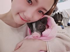 -浣熊柯尔鸭土拨鼠·电玩咖