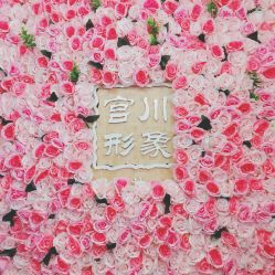 -宫川形象