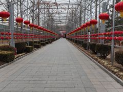 -南宫五洲植物乐园