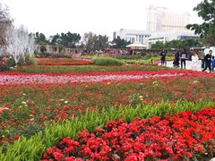 -龙环葡韵住宅式博物馆